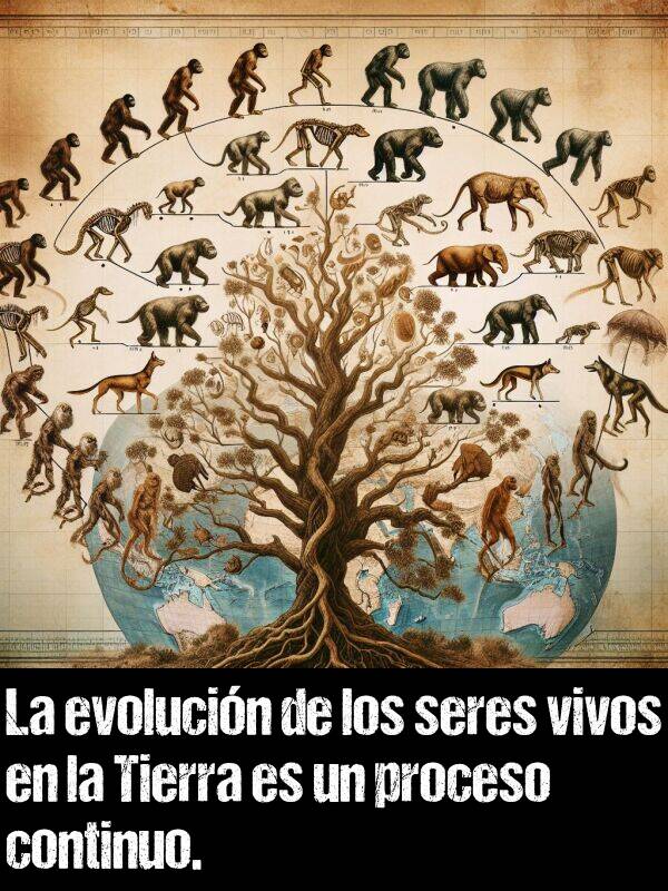 evolucin: La evolucin de los seres vivos en la Tierra es un proceso continuo.