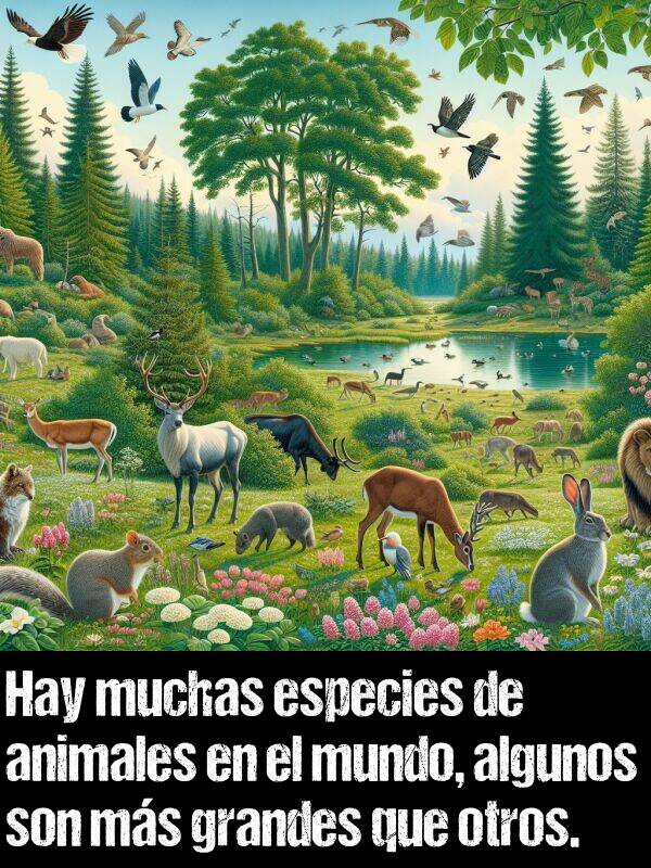 mundo: Hay muchas especies de animales en el mundo, algunos son ms grandes que otros.