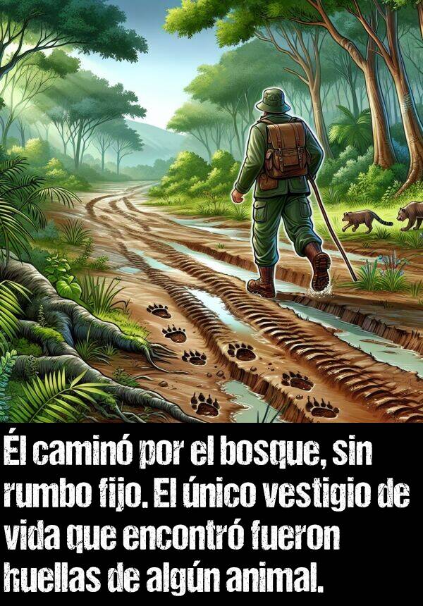 fijo: l camin por el bosque, sin rumbo fijo. El nico vestigio de vida que encontr fueron huellas de algn animal.