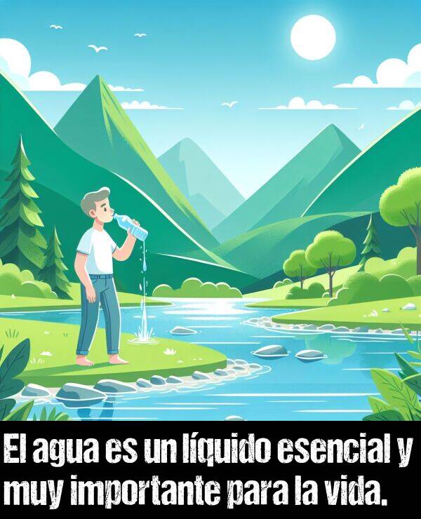 agua: El agua es un lquido esencial y muy importante para la vida.