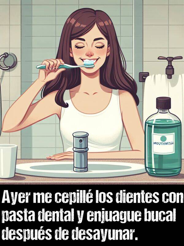 dientes: Ayer me cepill los dientes con pasta dental y enjuague bucal despus de desayunar.