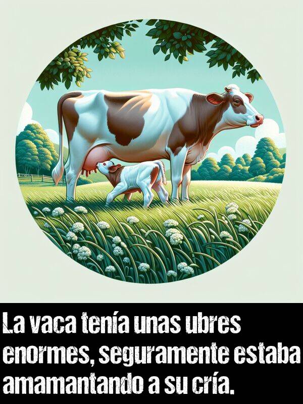 ubre: La vaca tena unas ubres enormes, seguramente estaba amamantando a su cra.