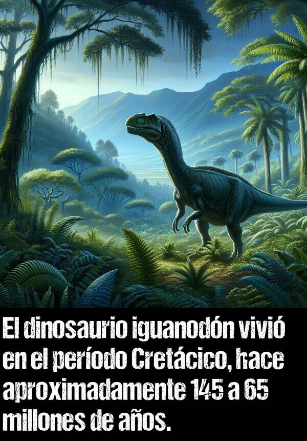 aos: El dinosaurio iguanodn vivi en el perodo Cretcico, hace aproximadamente 145 a 65 millones de aos.