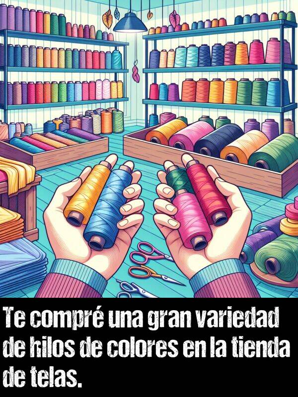 telas: Te compr una gran variedad de hilos de colores en la tienda de telas.