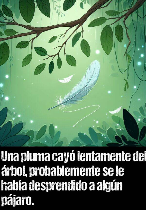 desprendido: Una pluma cay lentamente del rbol, probablemente se le haba desprendido a algn pjaro.