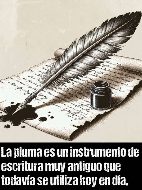 pluma: La pluma es un instrumento de escritura muy antiguo que todava se utiliza hoy en da.