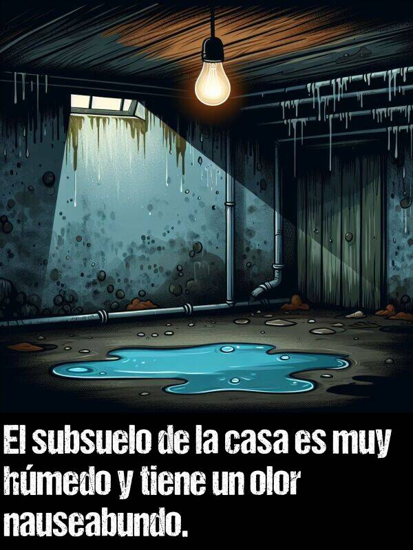 subsuelo: El subsuelo de la casa es muy hmedo y tiene un olor nauseabundo.