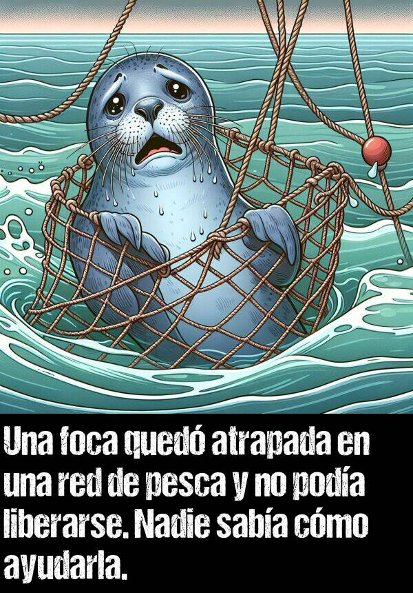 liberarse: Una foca qued atrapada en una red de pesca y no poda liberarse. Nadie saba cmo ayudarla.