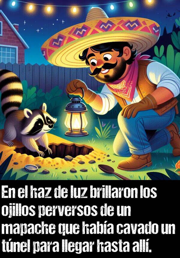 haz: En el haz de luz brillaron los ojillos perversos de un mapache que haba cavado un tnel para llegar hasta all.