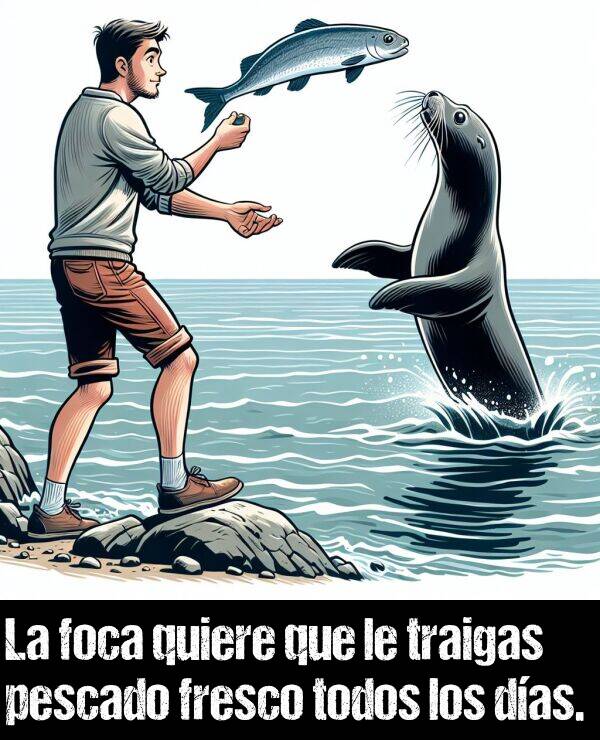 foca: La foca quiere que le traigas pescado fresco todos los das.