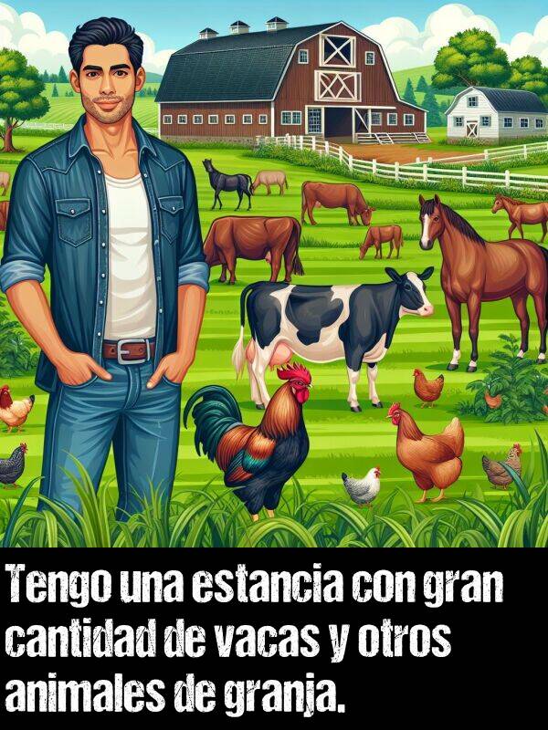 cantidad: Tengo una estancia con gran cantidad de vacas y otros animales de granja.