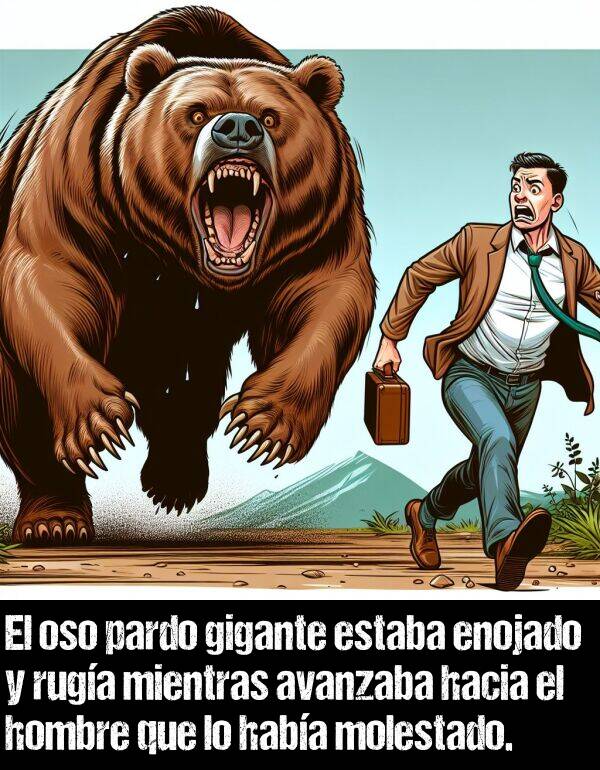 molestar: El oso pardo gigante estaba enojado y ruga mientras avanzaba hacia el hombre que lo haba molestado.