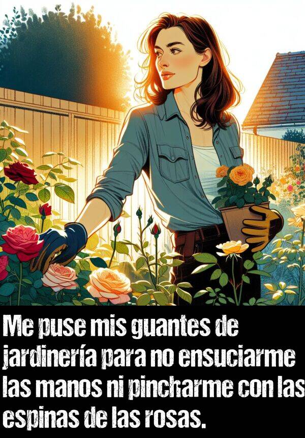 espinas: Me puse mis guantes de jardinera para no ensuciarme las manos ni pincharme con las espinas de las rosas.