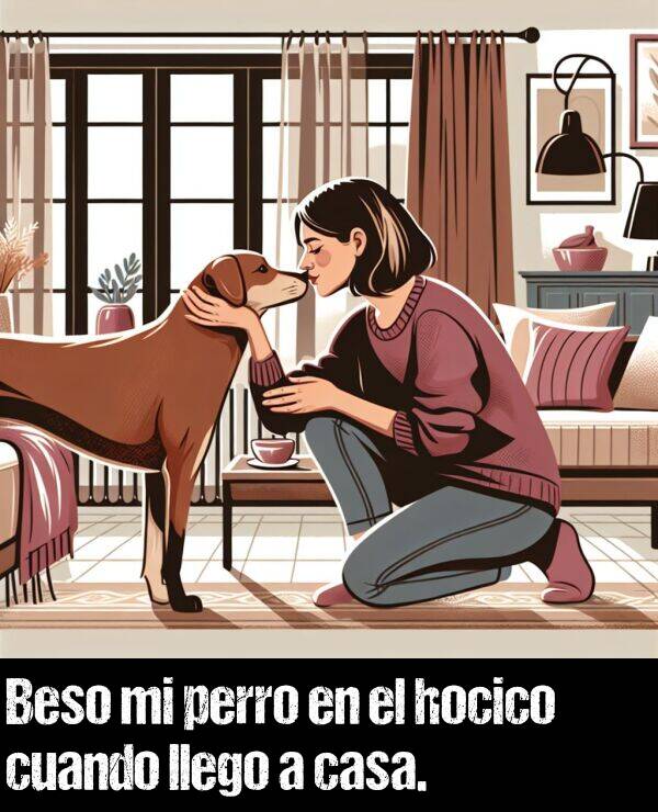 llego: Beso mi perro en el hocico cuando llego a casa.