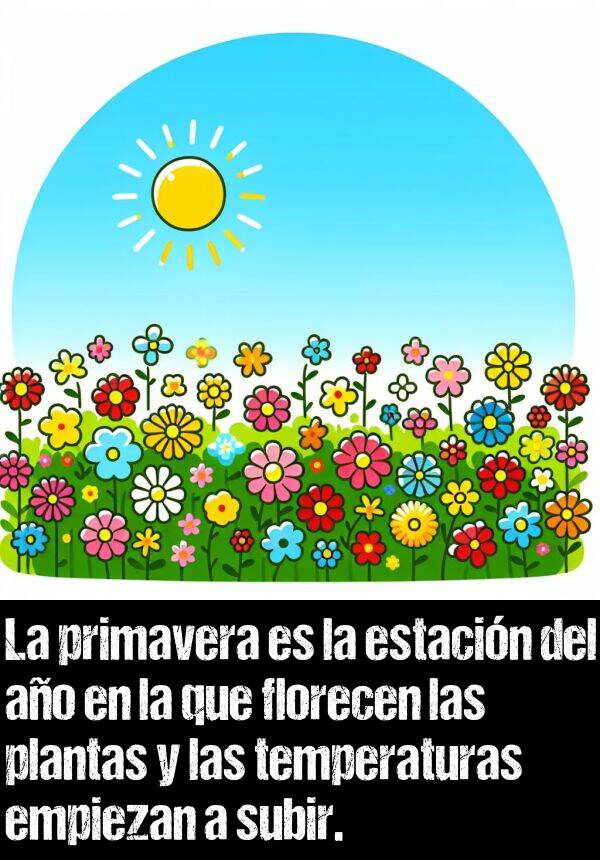 ao: La primavera es la estacin del ao en la que florecen las plantas y las temperaturas empiezan a subir.