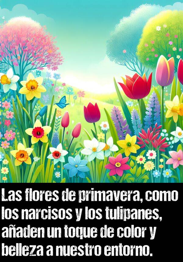 narciso: Las flores de primavera, como los narcisos y los tulipanes, aaden un toque de color y belleza a nuestro entorno.