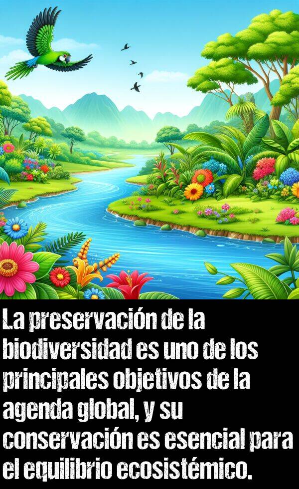 conservacin: La preservacin de la biodiversidad es uno de los principales objetivos de la agenda global, y su conservacin es esencial para el equilibrio ecosistmico.