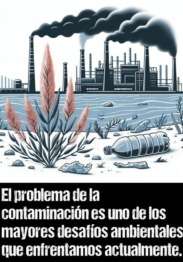 mayores: El problema de la contaminacin es uno de los mayores desafos ambientales que enfrentamos actualmente.