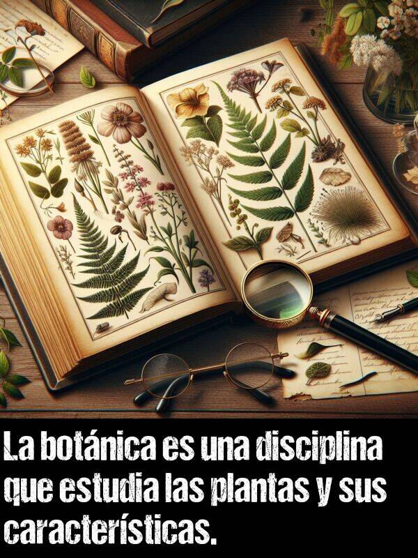 disciplina: La botnica es una disciplina que estudia las plantas y sus caractersticas.