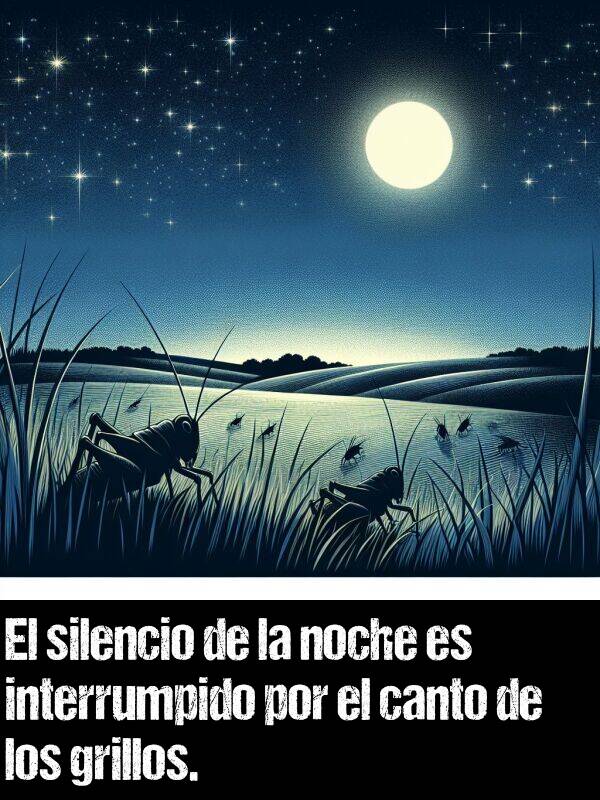 canto: El silencio de la noche se ve interrumpido por el canto de los grillos.