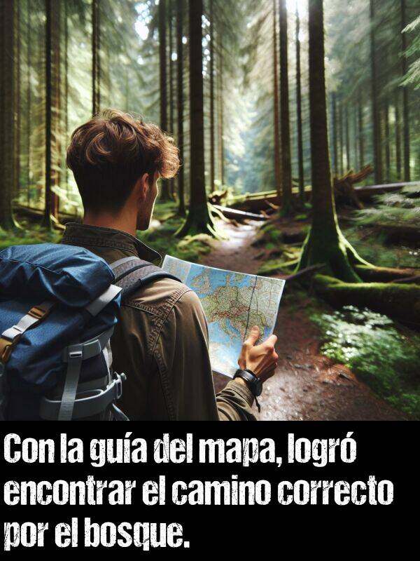 gua: Con la gua del mapa, logr encontrar el camino correcto por el bosque.