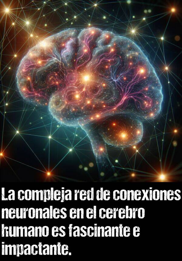 red: La compleja red de conexiones neuronales en el cerebro humano es fascinante e impactante.