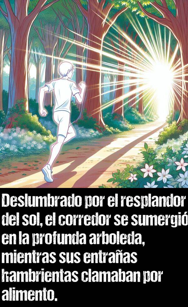 entraa: Deslumbrado por el resplandor del sol, el corredor se sumergi en la profunda arboleda, mientras sus entraas hambrientas clamaban por alimento.