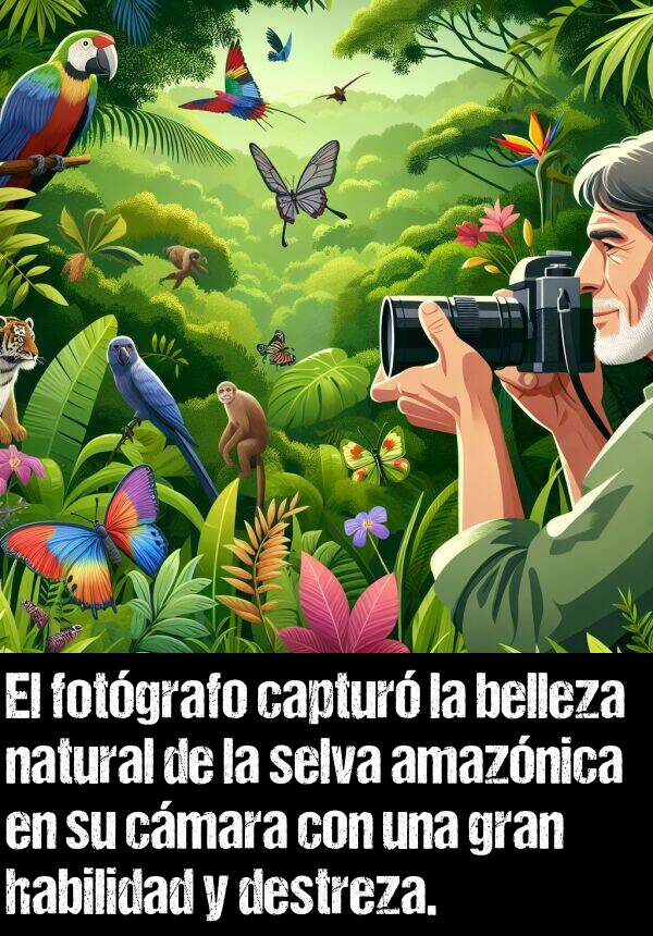 natural: El fotgrafo captur la belleza natural de la selva amaznica en su cmara con una gran habilidad y destreza.