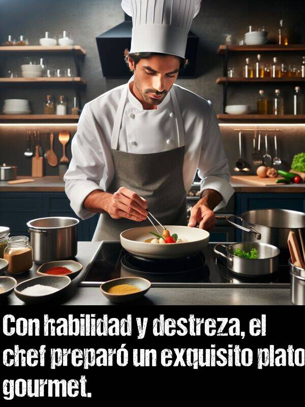 gourmet: Con habilidad y destreza, el chef prepar un exquisito plato gourmet.