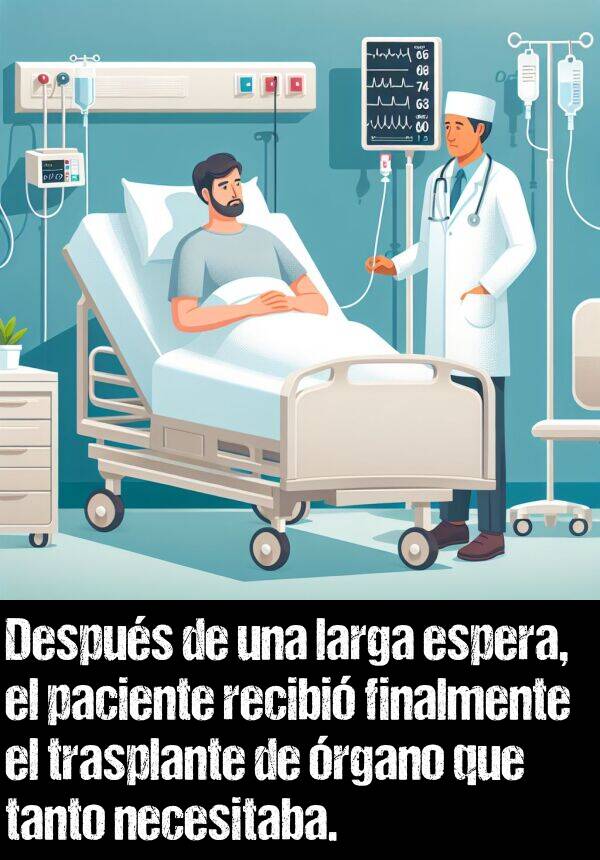 trasplante: Despus de una larga espera, el paciente recibi finalmente el trasplante de rgano que tanto necesitaba.