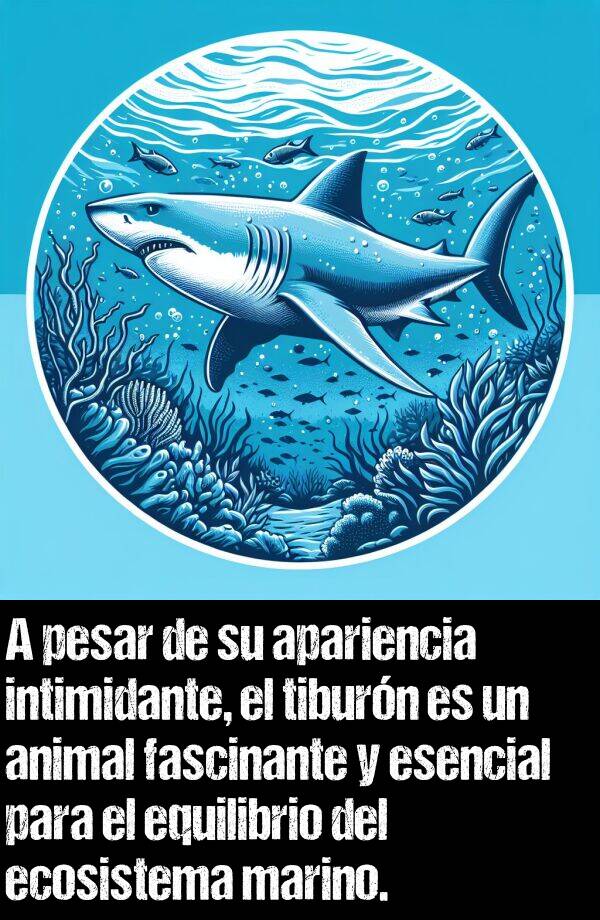 apariencia: A pesar de su apariencia intimidante, el tiburn es un animal fascinante y esencial para el equilibrio del ecosistema marino.