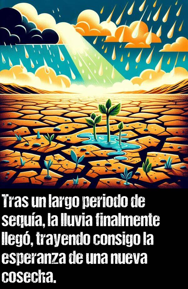 sequa: Tras un largo periodo de sequa, la lluvia finalmente lleg, trayendo consigo la esperanza de una nueva cosecha.