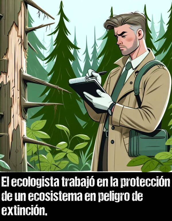 proteccin: El ecologista trabaj en la proteccin de un ecosistema en peligro de extincin.