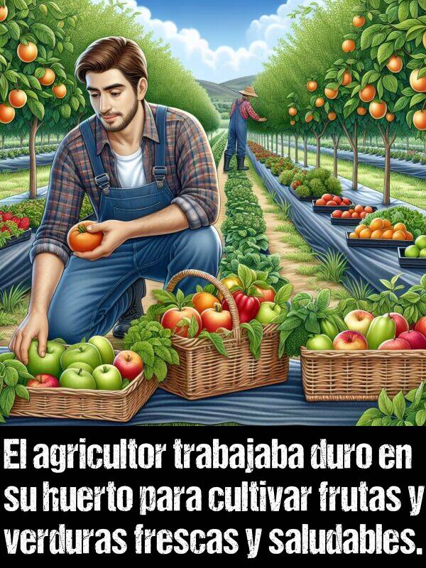 huerto: El agricultor trabajaba duro en su huerto para cultivar frutas y verduras frescas y saludables.