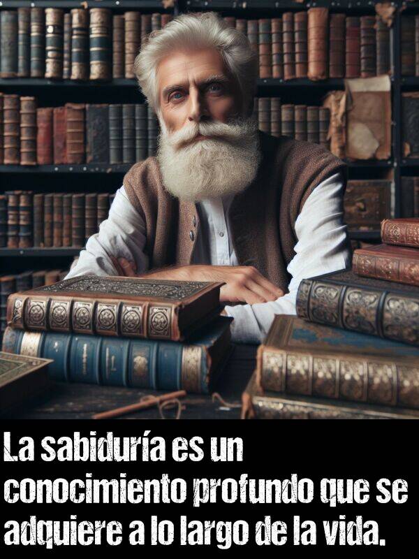 adquirir: La sabidura es un conocimiento profundo que se adquiere a lo largo de la vida.