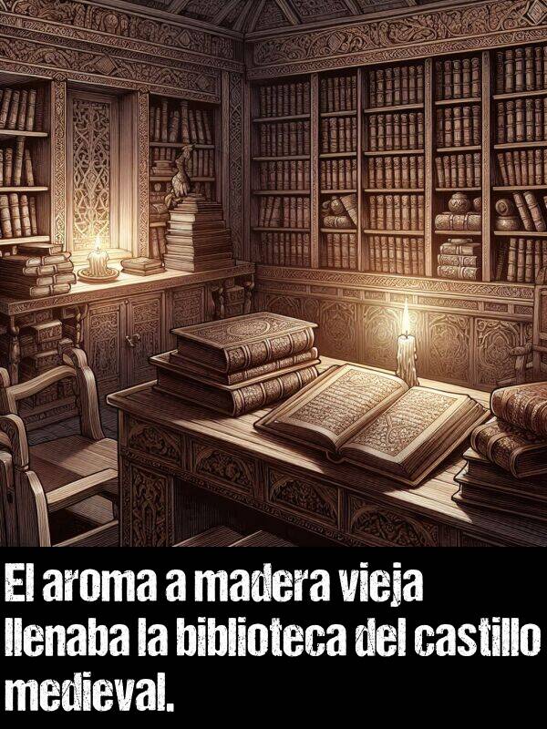 vieja: El aroma a madera vieja llenaba la biblioteca del castillo medieval.