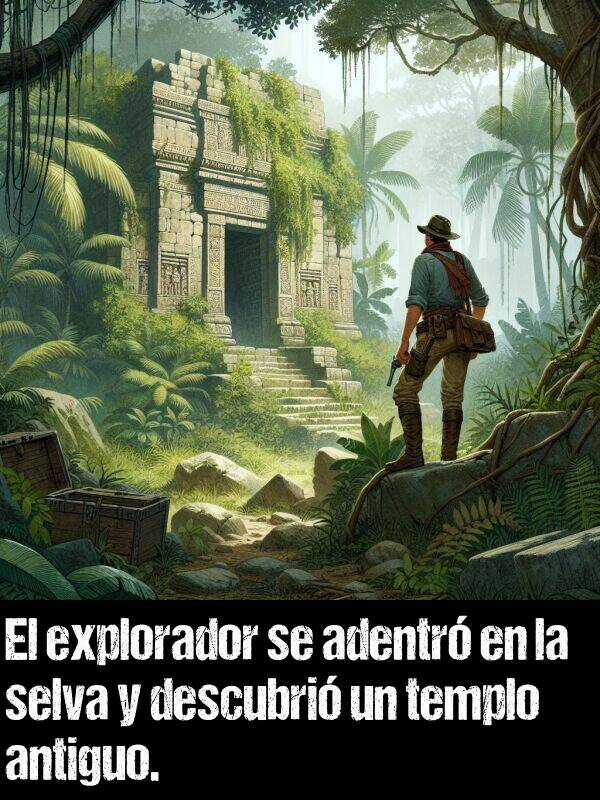 descubrir: El explorador se adentr en la selva y descubri un templo antiguo.