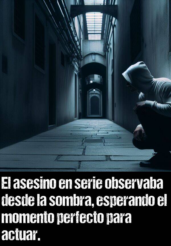 asesino: El asesino en serie observaba desde la sombra, esperando el momento perfecto para actuar.