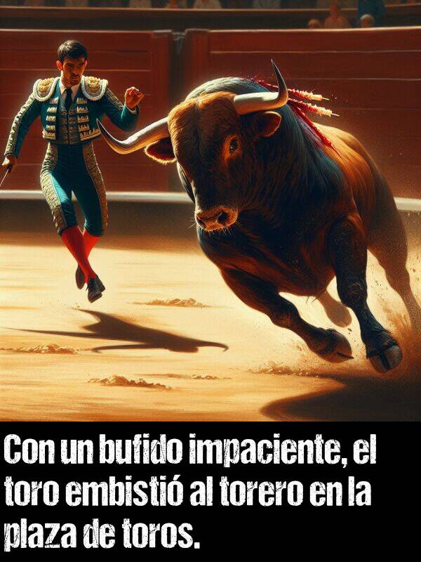 bufido: Con un bufido impaciente, el toro embisti al torero en la plaza de toros.