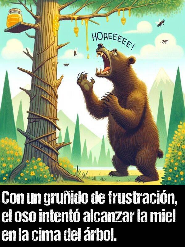 frustracin: Con un gruido de frustracin, el oso intent alcanzar la miel en la cima del rbol.