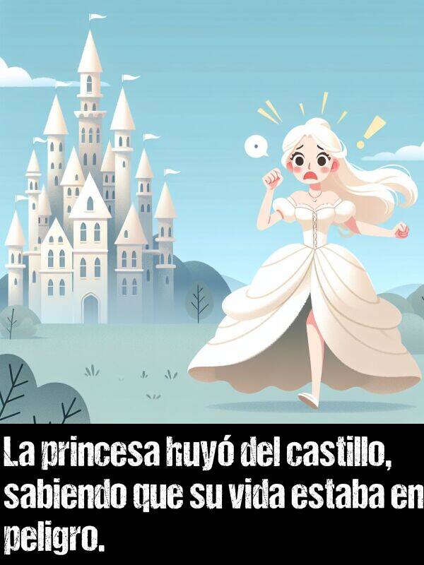 castillo: La princesa huy del castillo, sabiendo que su vida estaba en peligro.