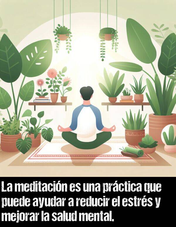 meditacin: La meditacin es una prctica que puede ayudar a reducir el estrs y mejorar la salud mental.