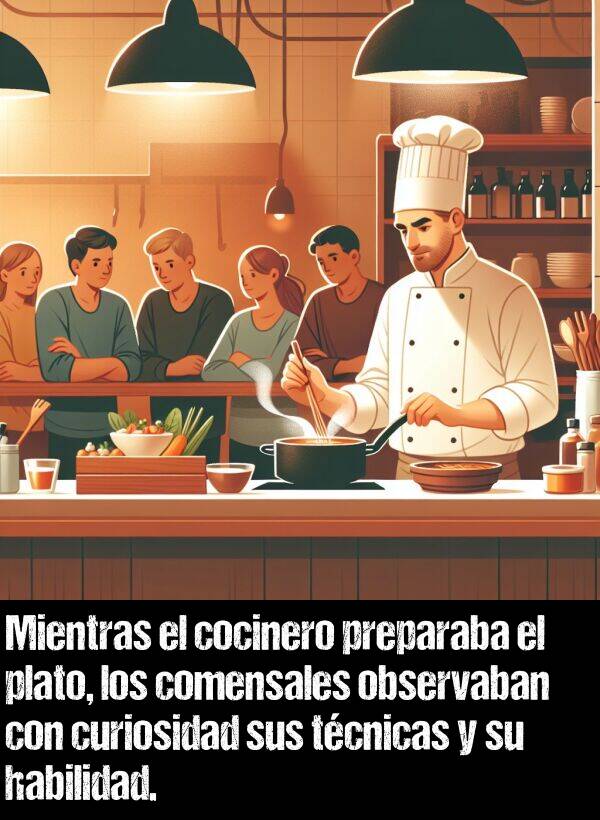 habilidad: Mientras el cocinero preparaba el plato, los comensales observaban con curiosidad sus tcnicas y su habilidad.