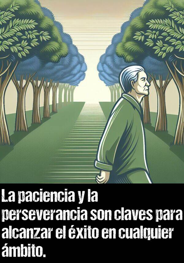 mbito: La paciencia y la perseverancia son claves para alcanzar el xito en cualquier mbito.