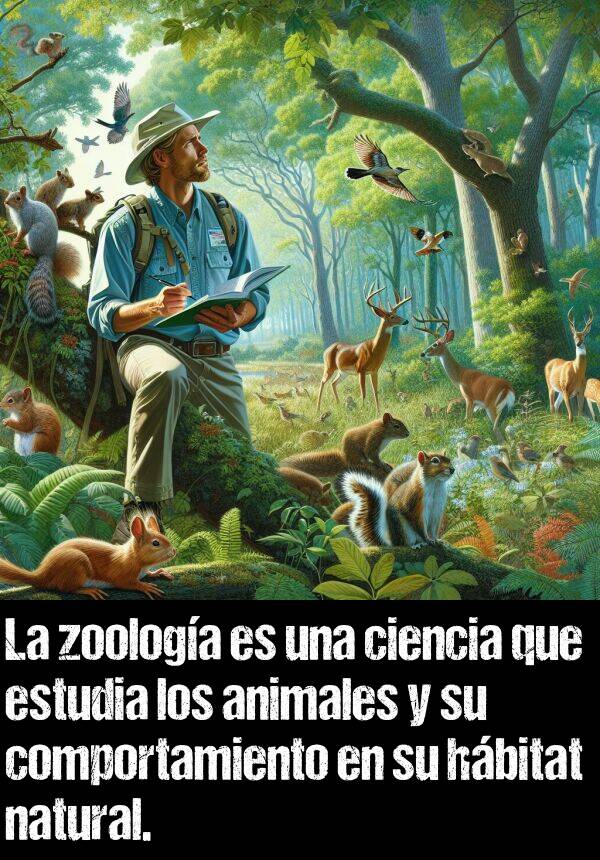 zoologa: La zoologa es una ciencia que estudia los animales y su comportamiento en su hbitat natural.