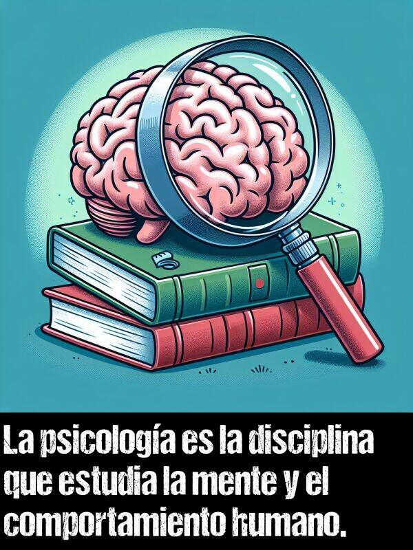 disciplina: La psicologa es la disciplina que estudia la mente y el comportamiento humano.