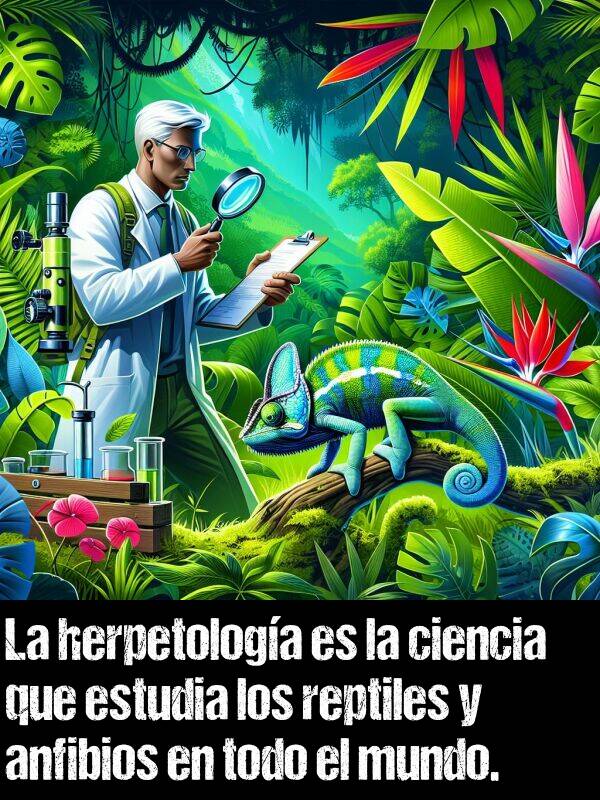 anfibios: La herpetologa es la ciencia que estudia los reptiles y anfibios en todo el mundo.