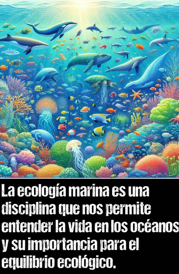 equilibrio: La ecologa marina es una disciplina que nos permite entender la vida en los ocanos y su importancia para el equilibrio ecolgico.