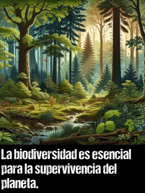 supervivencia: La biodiversidad es esencial para la supervivencia del planeta.