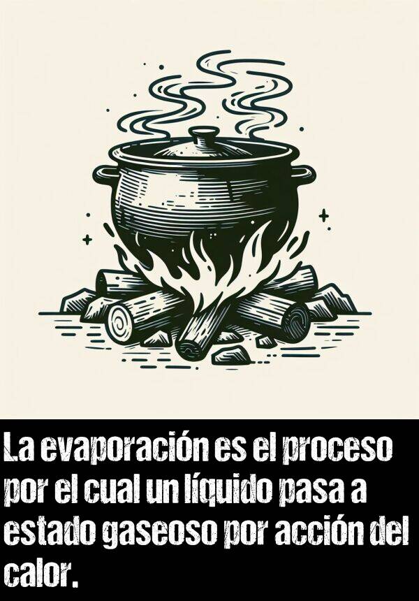 accin: La evaporacin es el proceso por el cual un lquido pasa a estado gaseoso por accin del calor.